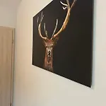 Cervus * Durbuy