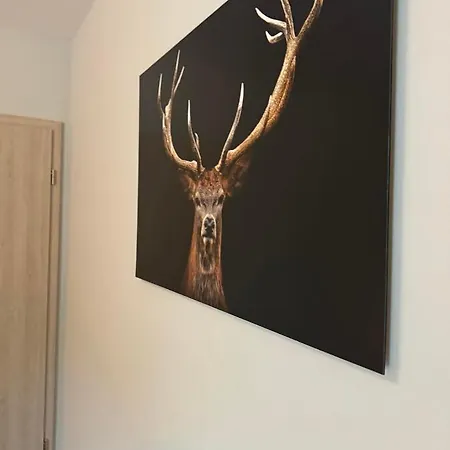 Cervus * דורבורי