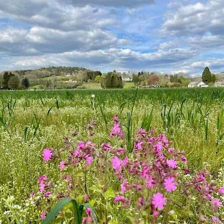 Lägenhet Cervus Durbuy