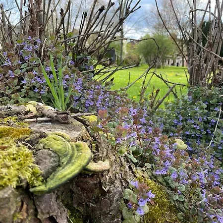 Cervus Appartamento Durbuy