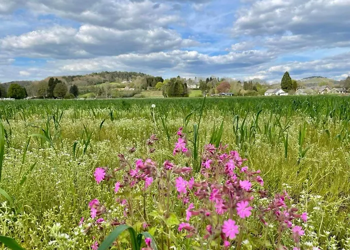 Lägenhet Cervus Durbuy