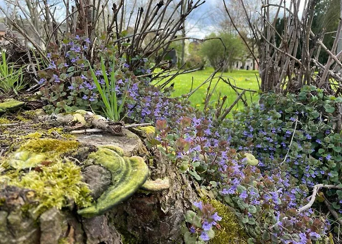 Cervus Lägenhet Durbuy